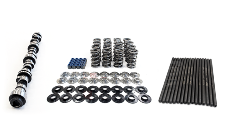 Texas Speed & Performance LT1/L86 6.2L V2 Cam Kit